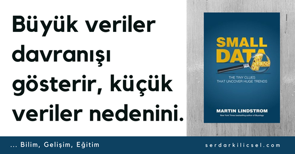 Small Data - Martin Lindstrom